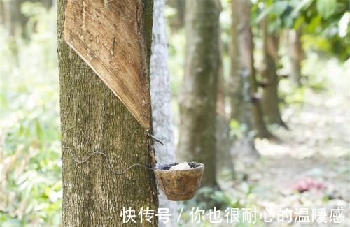 填充物|选择沙发,别傻乎乎地只看样式,看不见的填充物更值得我们关心