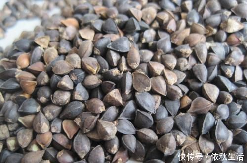 此物|枕头里放些此物,坚持一个月,颈椎病慢慢就好了,快来尝试下