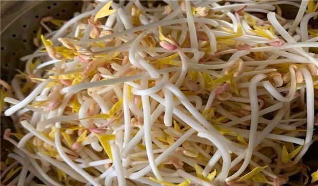 自己在家发的豆芽,这样简单一做,出锅太下饭,给红烧肉也不换