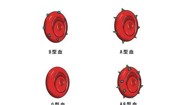 b型血|胖瘦和血型有关？研究发现：有一种血型的人，减肥不太容易