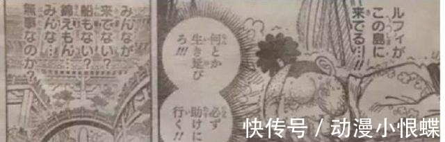 十郎|《海贼王》982话图透,桃之助惨状公开,被堪十郎打得面目全非!