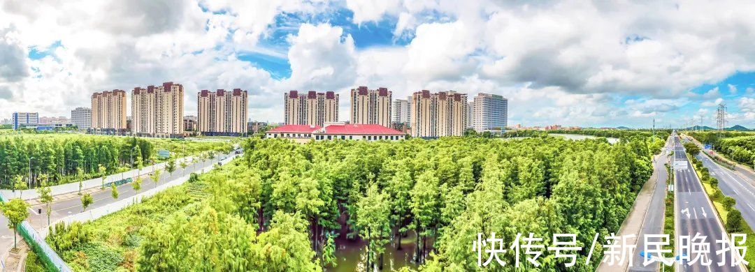 湿地|小学生写信保住校园边“云间湿地”，一群叔叔阿姨动足脑筋