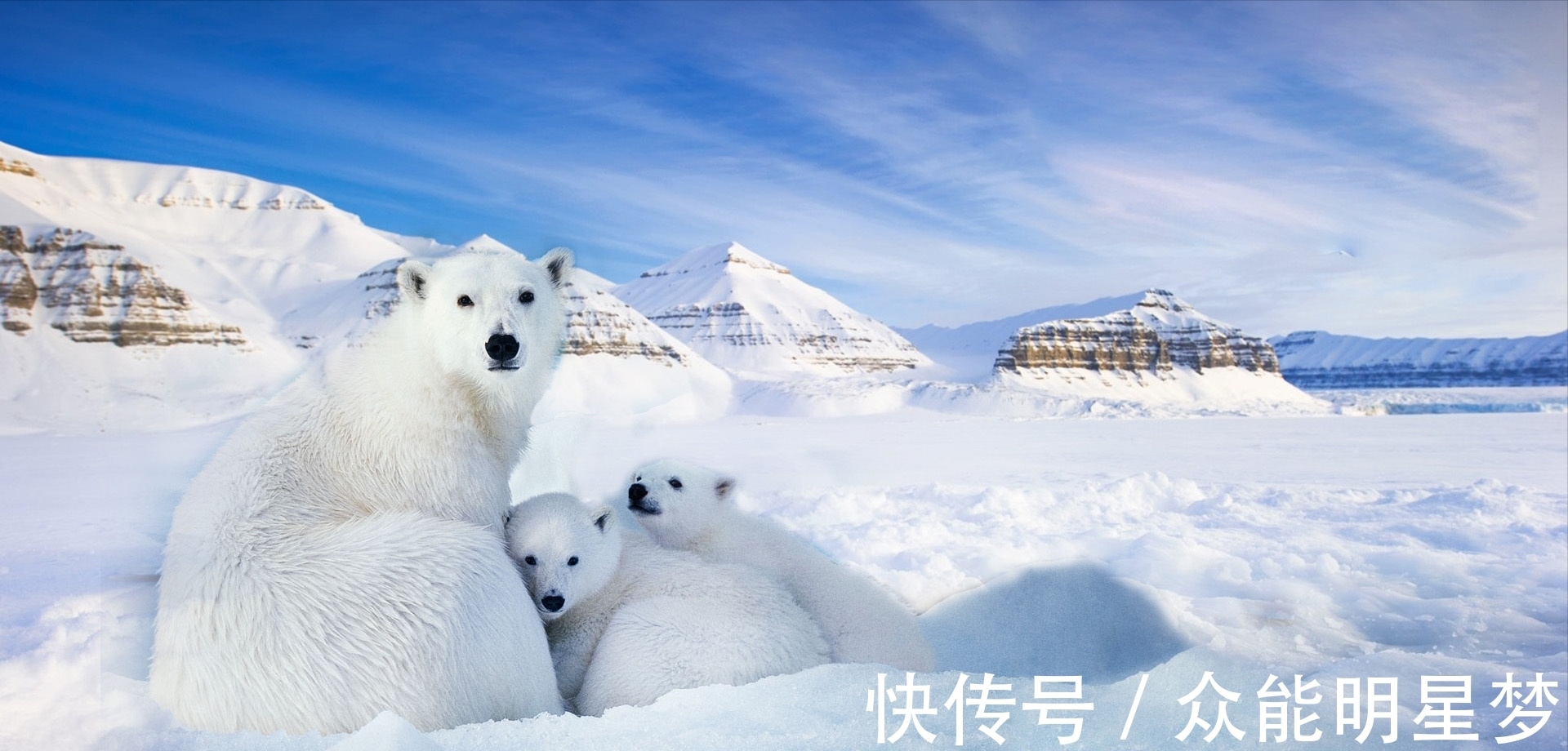 古希腊|8个新鲜有趣的冷知识,快来看看吧!