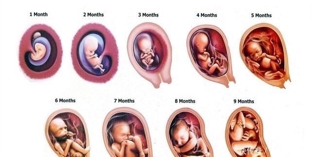 孕期|怀胎十月“注意事项”一览表,孕妈收藏备用,愿宝宝顺利出生!