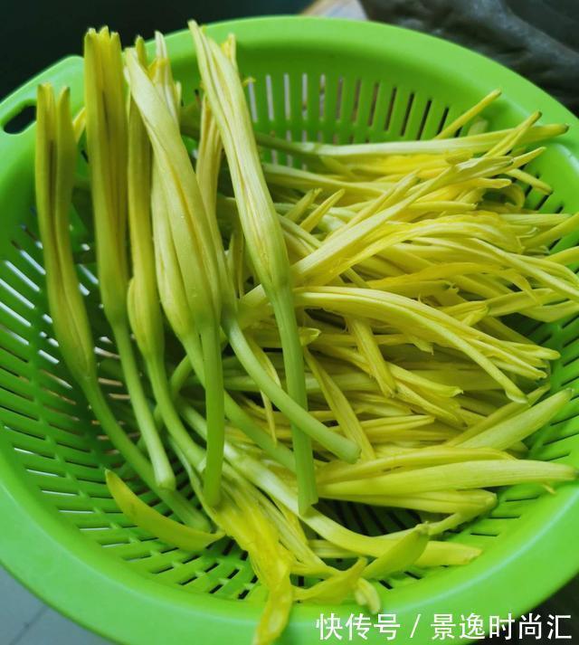 龙葵|门口的果子像“龙葵”,赶紧要拔掉、千万别吃,会中毒