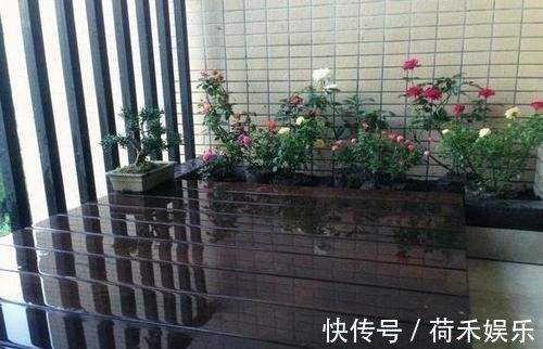 在阳台上砌个鱼池，成本只花200元，亲戚朋友们都眼红了