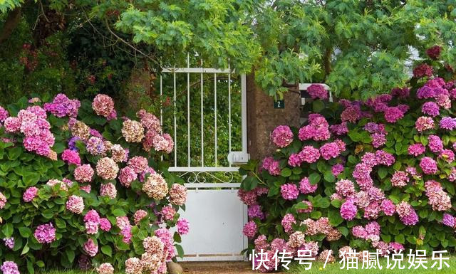 这9种花园，随便1个都美上天了，有一种这辈子就满足了！