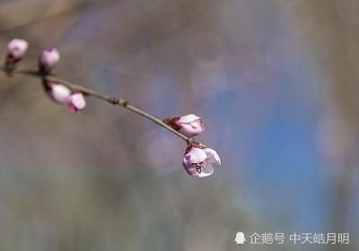 今宵谁与诉衷肠|鹧鸪天·今宵谁与诉衷肠