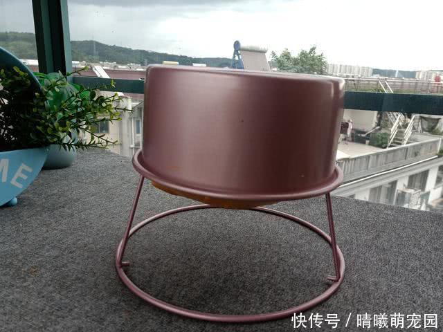 戚风蛋糕|原来酸奶做蛋糕超好吃,比嫩豆腐还嫩,做法太简单