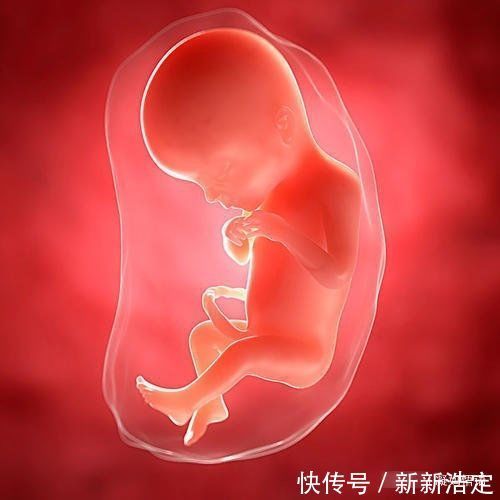 缺钙|胎儿进入身高猛涨期,孕妈身体有4种感觉,忽视娃少长10公分