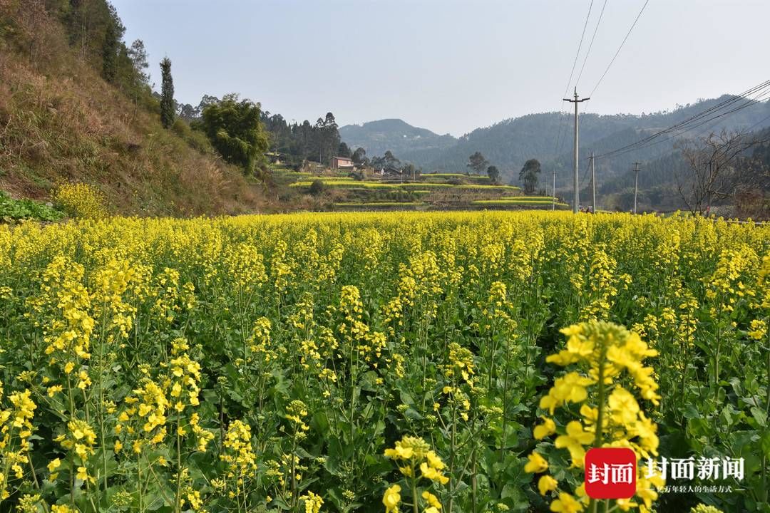 组图｜春田赏花，千年荣州等你！