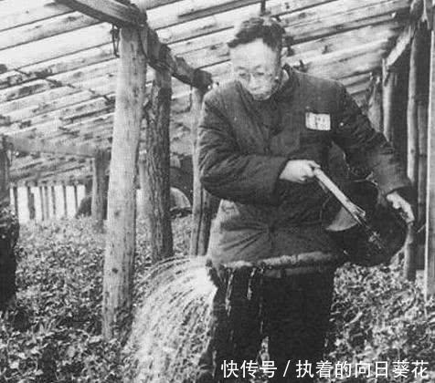 文物|溥仪去故宫看到一花瓶,专家说那是文物!他大笑那是我夜壶!