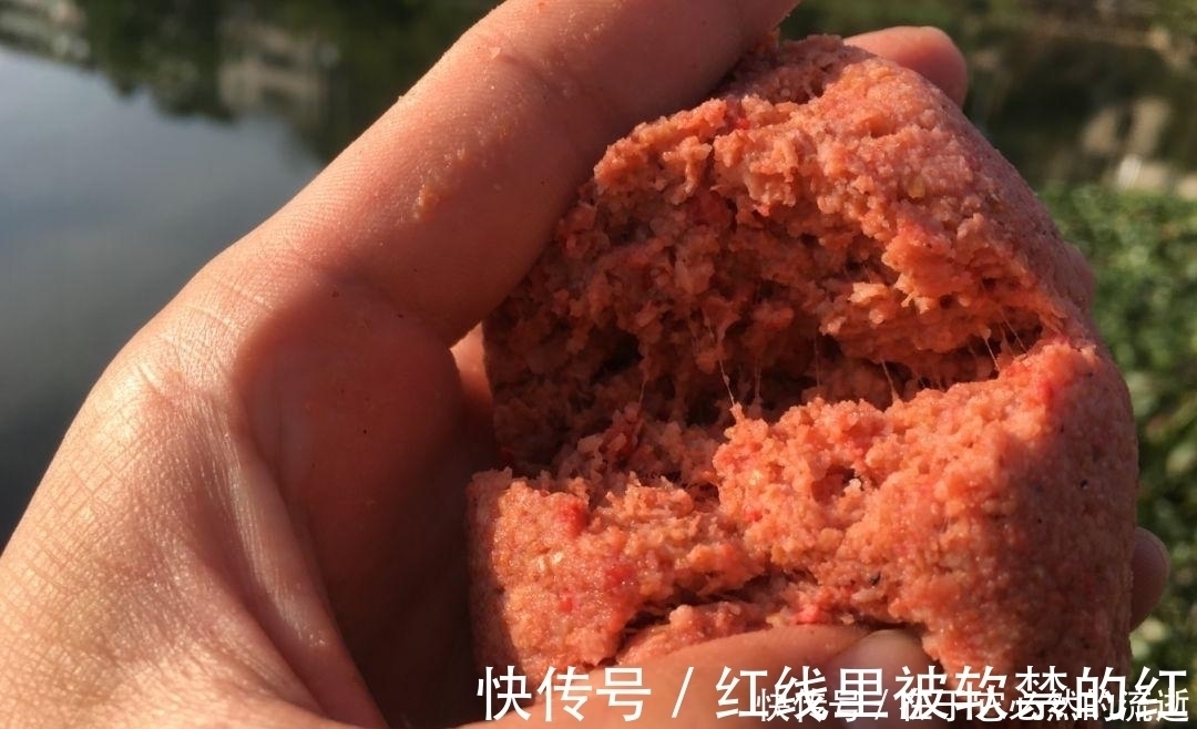 这些都是鲫鱼爱吃的食物，用来钓鲫鱼，一钓一个准
