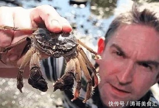 生蚝|这些美味在当地泛滥成灾,在我国却价格不菲,需要人工饲养