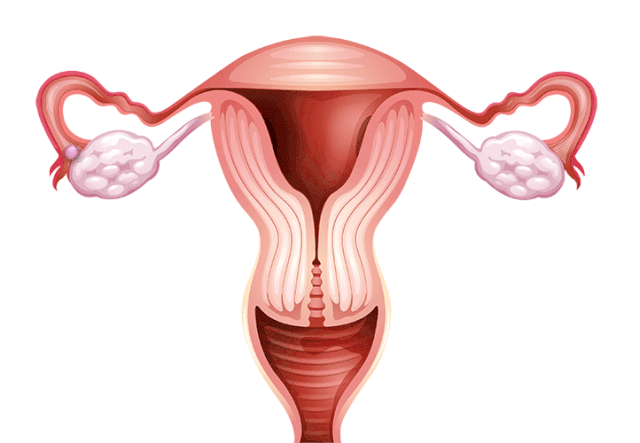卵巢早衰|【孕育新生】用来辅助判断卵巢功能的AMH