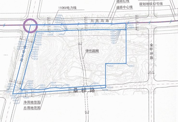 商业体|国欣新盘案名曝光?限价9900!长郡月亮岛二小旁!