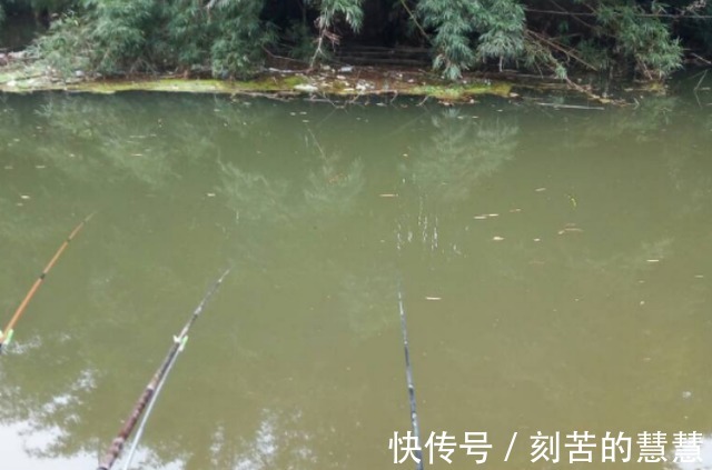 冬天降温鱼口轻,怎么钓才最好进来划重点