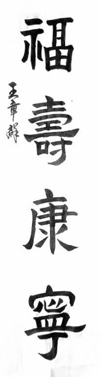 河北省书协#书法家王章群——行云流水,力透纸背