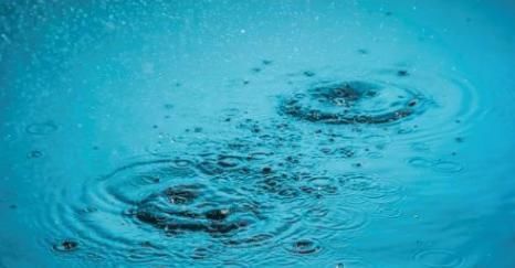 胖子|痰湿、寒痰、痰热有什么区别？又该怎么调理？胖子必须清楚