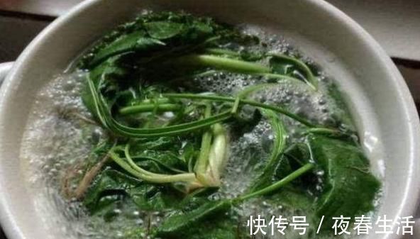 车前草|大病小治，小病不医，慢性咽炎用这种野草泡水喝堪比灵丹妙药