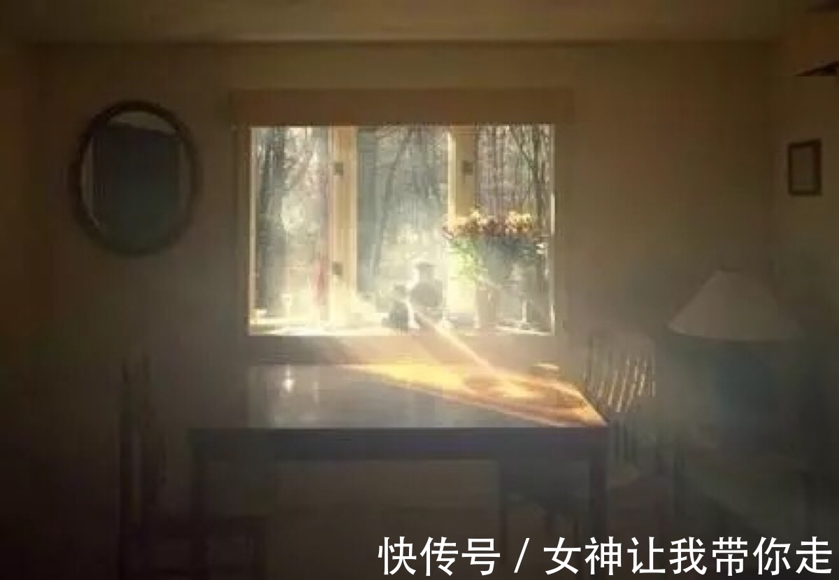 屋里两三天没有打扫就会出现很多“毛毛”,这是怎么回事?