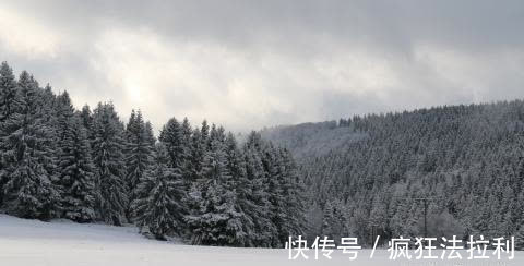 领导|处事圆滑，升职在即,领导关怀，家庭和睦的4大生肖