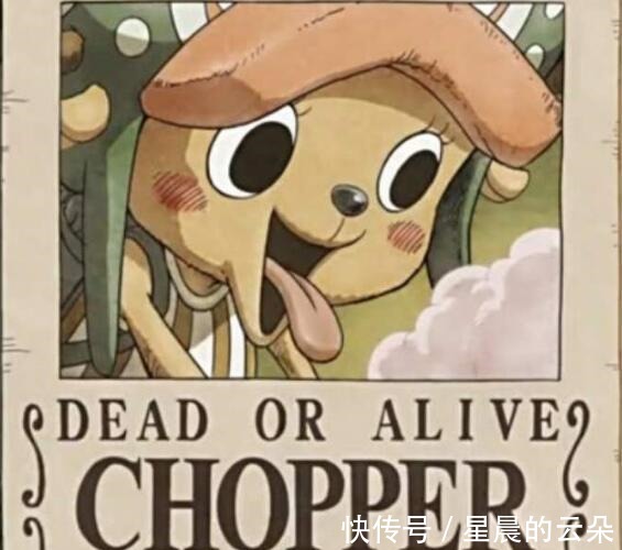 索隆|海贼王999话彩页细节,索隆换二代鬼彻,山治把凯多煮了