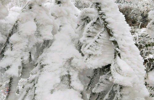 雪景|湖北超大的山地草场，318国道从景区穿过，冬天的雪景很漂亮