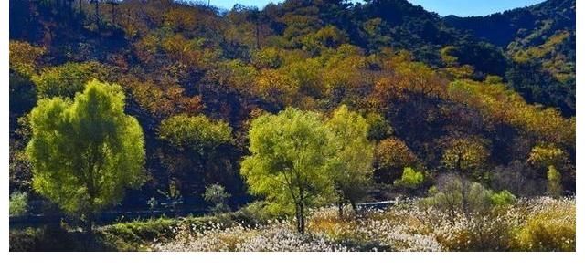 深山闺秀|北京一深山闺秀，山清水秀板栗飘香，人少景美适合遛娃