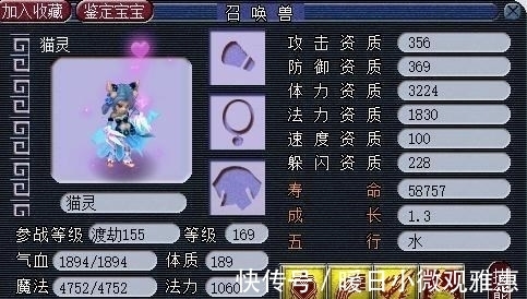 兽态|梦幻西游：攻资1600，成长近1.3，强力攻法双修猫灵，任务小能手