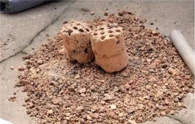 分钱|“3种料”垫盆底,花卉越长越有劲,不花1分钱,养啥旺啥