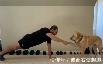 做俯卧撑|健身的最佳拍档,你绝对想不到!
