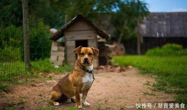 世界第一|孤独的俄罗斯村庄：仅剩8个居民相依为命，自嘲自己是最后的居民