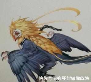 大鹏鸟|除凤凰外, 上古有名的六大神鸟和四大恶禽