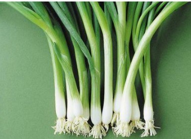 土方|民间小小偏方,治疗大疾病,以下几种“土方”总有你想找的