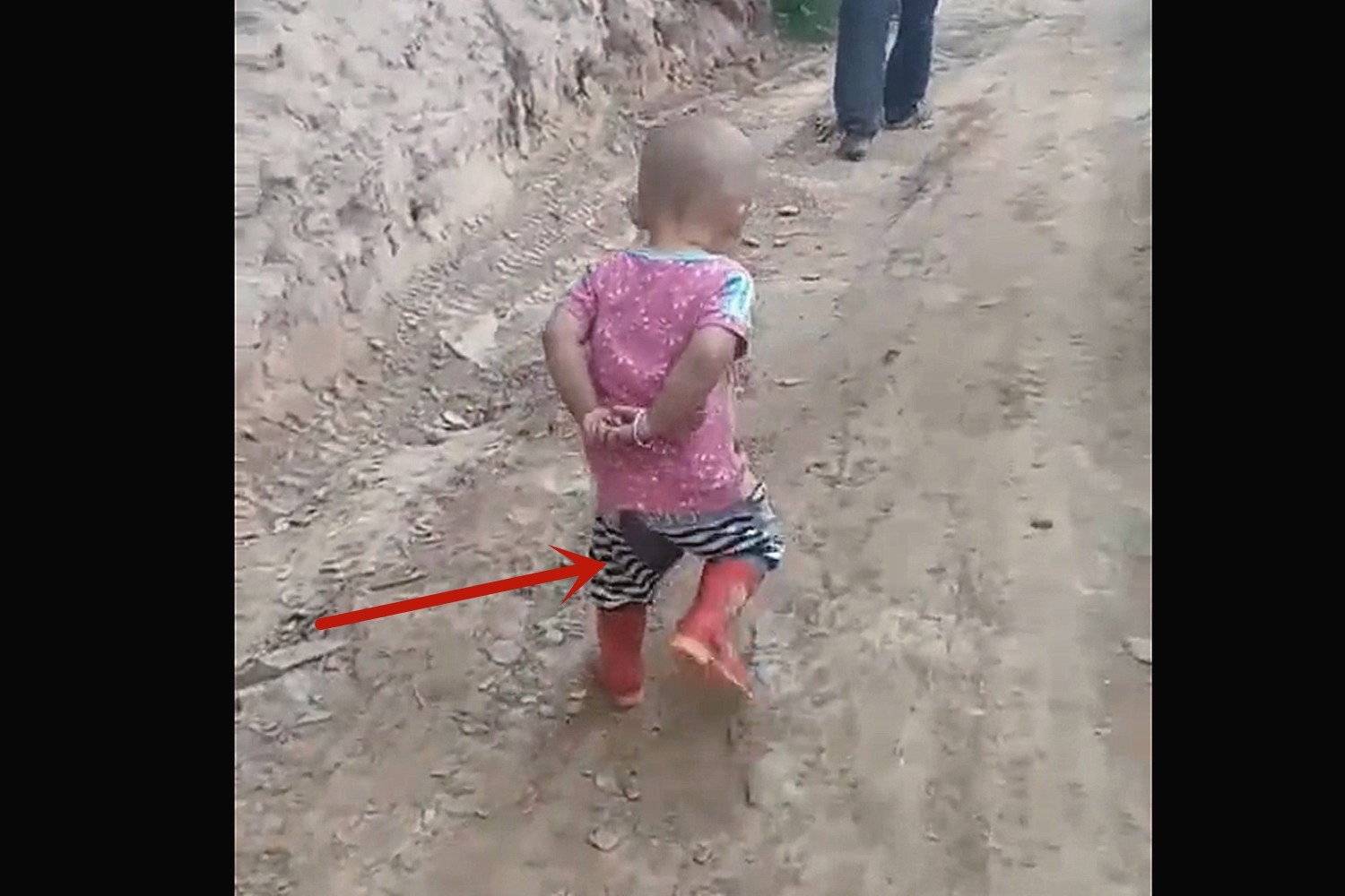 孩子|小公主去姥姥家的第二天,变成村中一霸,嚣张的大鹅见到都害怕