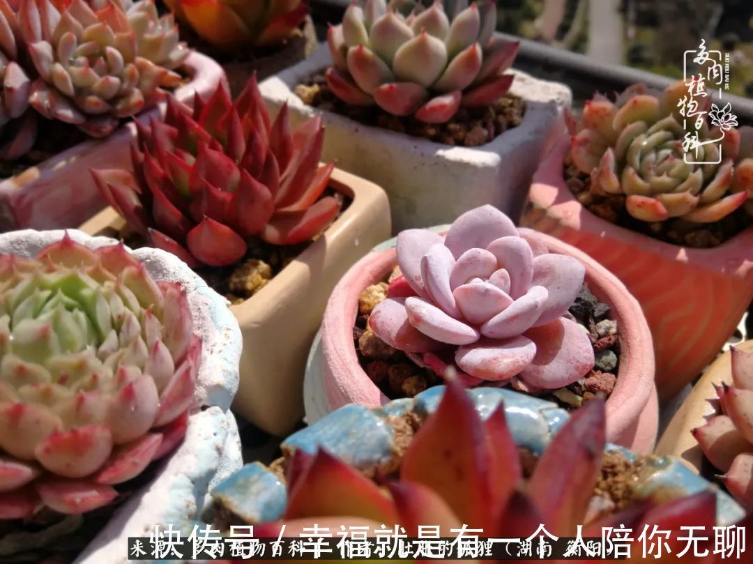 爱这一片缤纷的色彩，因为我们都是好色之徒！