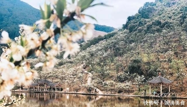 春天的重庆，美丽的山城，到底美在哪里？