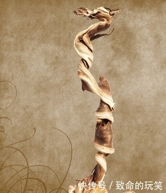 崖柏|带你走进深山的采崖柏人,有人靠它赚上亿,有人因此丧命,太珍贵