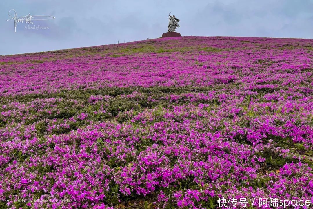 手机抓拍大雨中的木兰草原，尽现其真实的美