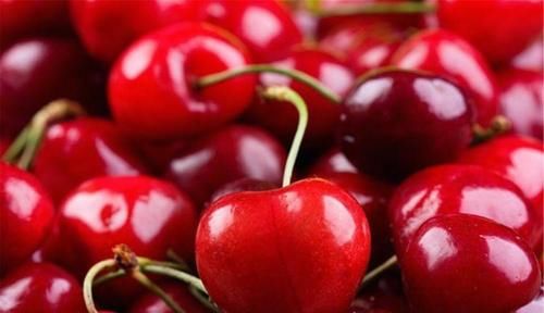 肌肤|好吃营养的食物,不可错过,肌肤变好,身体年轻,吃了变健康