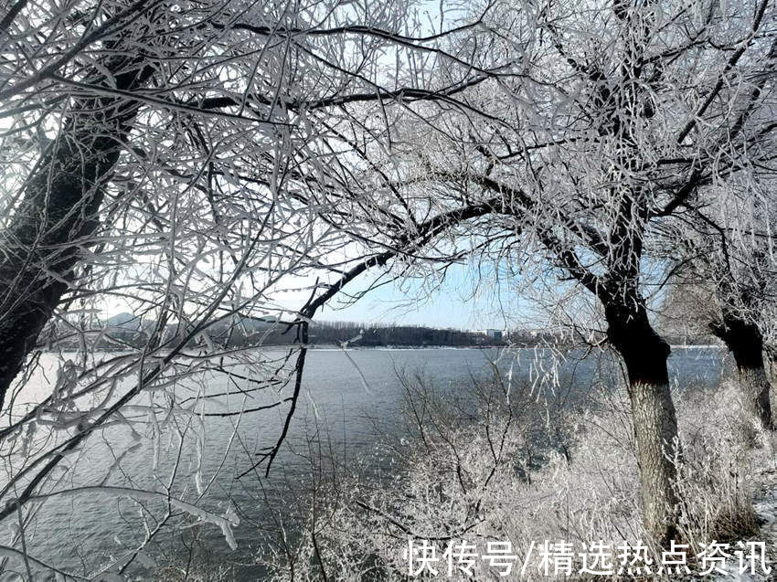 冰雪运动|吉林：雾凇之都滑雪天堂 把“冷资源”变成“热产业”