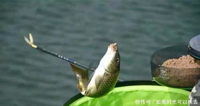 鱼竿最尴尬的一种长度,我猜您买了!