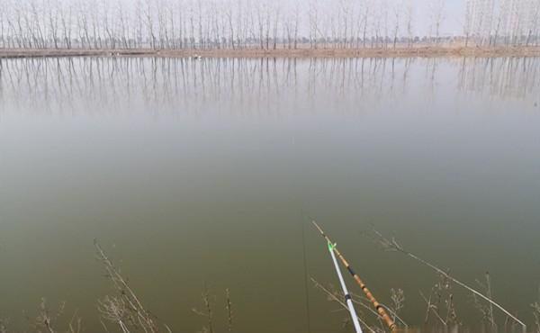 冬季钓鲫鱼,不宜选择这5类钓点,这些位置冬季没鱼