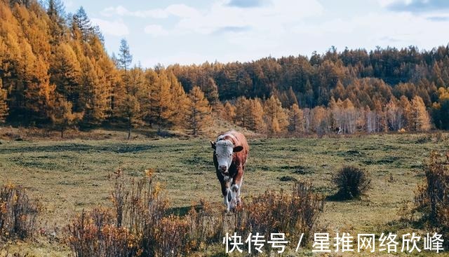 驼峰岭天池|阿尔山旅行攻略，北方的秋天一定不会失望