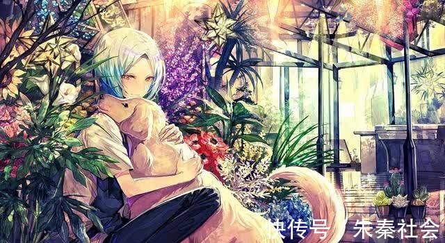 二次元|二次元纯情少女美图,微笑实在太迷人,动漫男和狗狗合拍也不错!