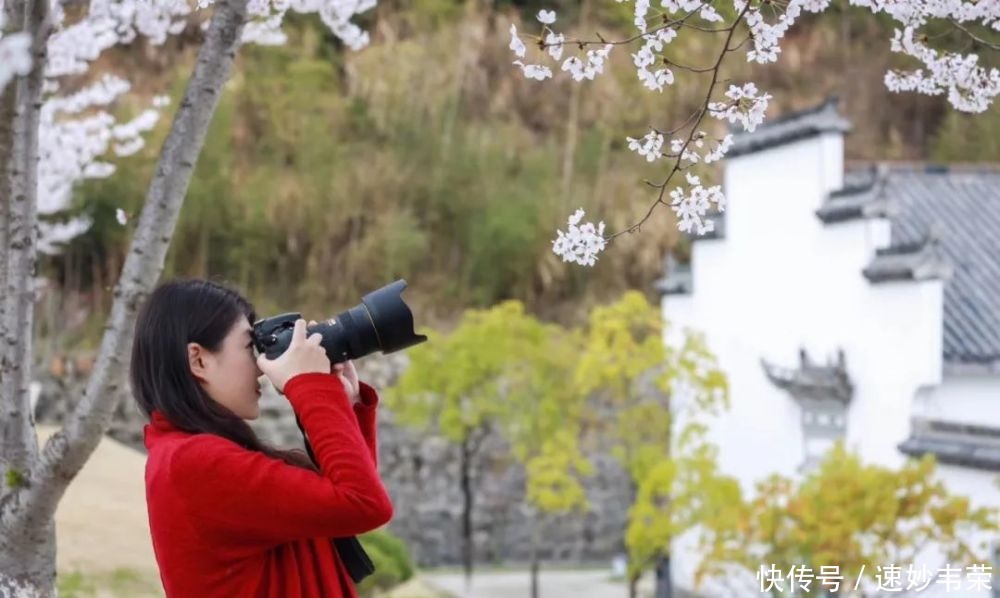 春游黟县丨最美赏花游攻略