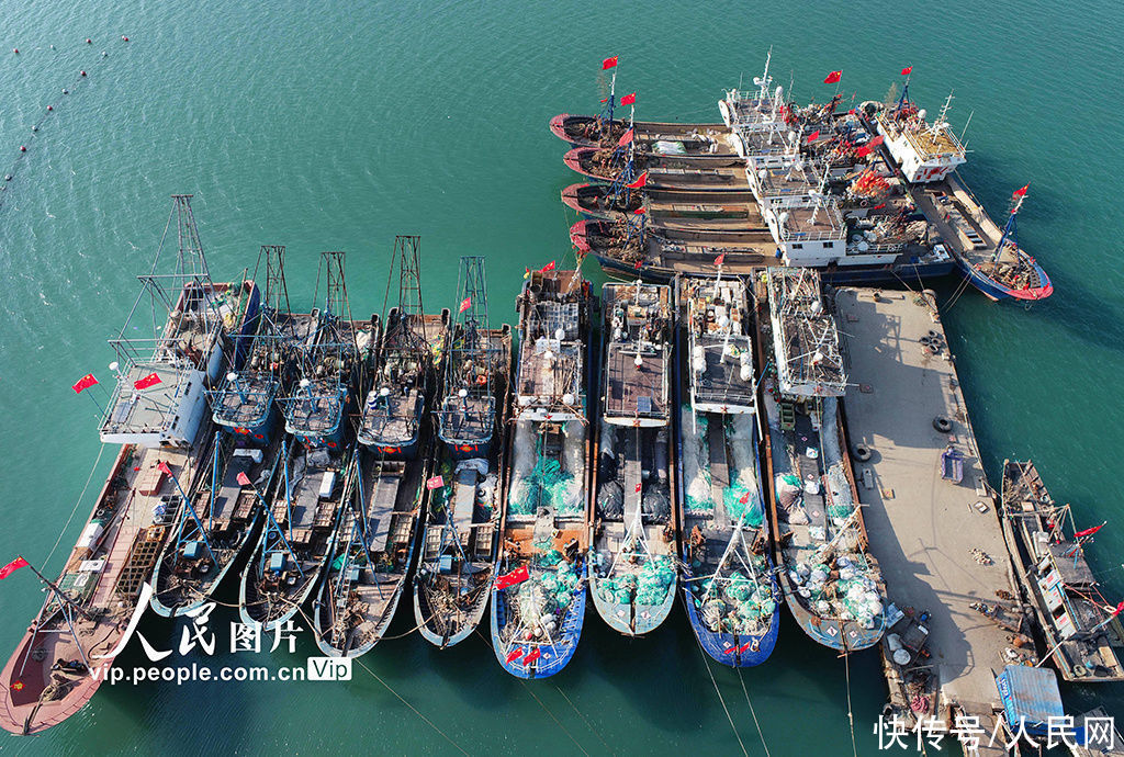 江苏连云港:早春二月备春捕