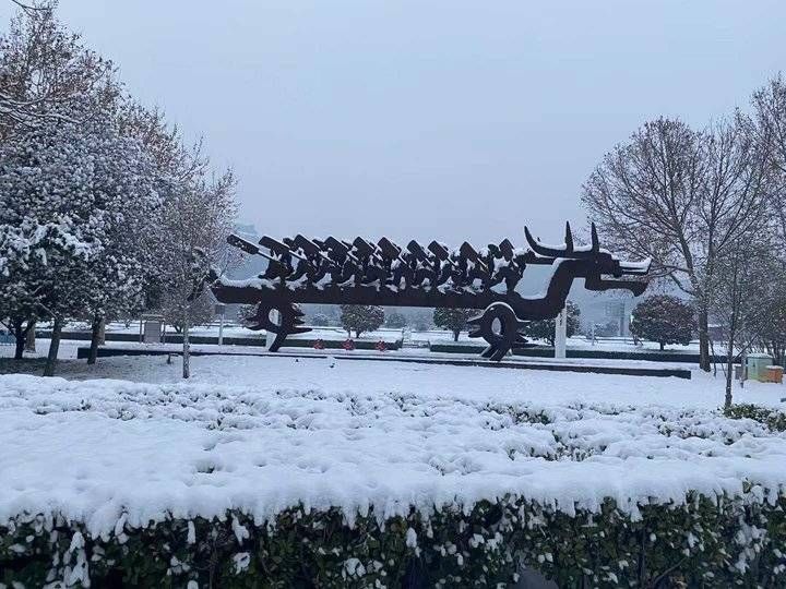 雪忆|问故宫，雪忆否