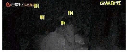 密室大逃脱|《密室大逃脱3》收官：《绝密医院》为啥被称为本季最赞密室？